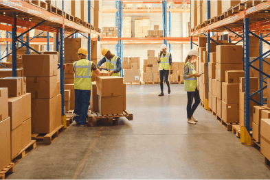 Manufacturing & Distribution